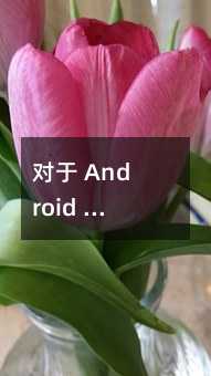 對(duì)于 Android 平臺(tái)短信的來路注冊(cè)認(rèn)證系統(tǒng)設(shè)計(jì)與解決方案