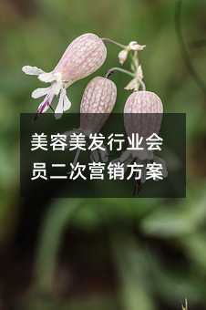 美容美發(fā)行業(yè)會(huì)員二次營(yíng)銷方案