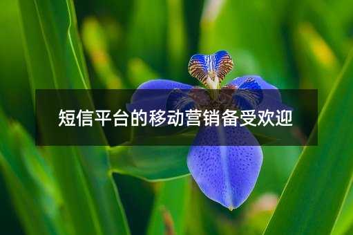 ƽ_ƄӠINܚgӭ