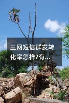 W(wng)Ⱥl(f)D(zhun)?Ч?