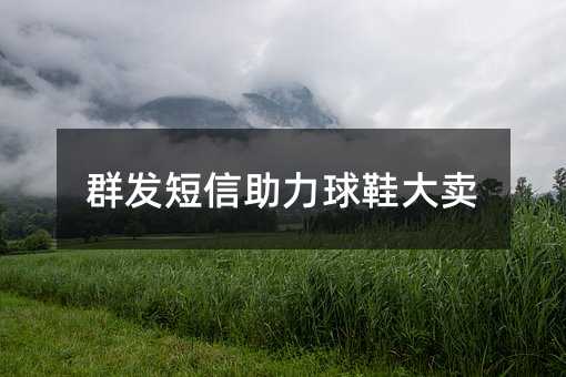 群發(fā)短信助力球鞋大賣