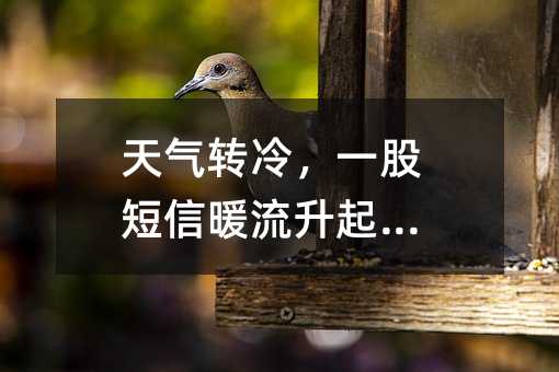 D(zhun)һɶů(li)