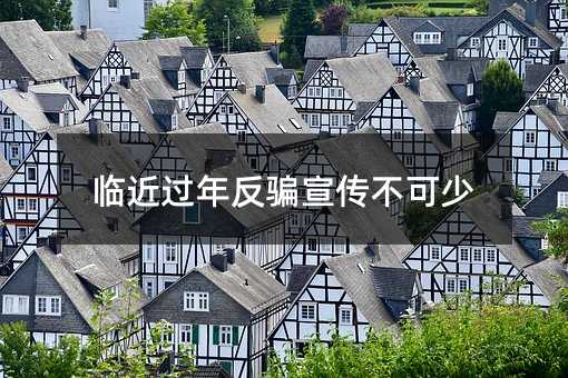 臨近過(guò)年反騙宣傳不可少