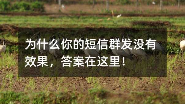 ʲôĶȺl(f)]Ч@
