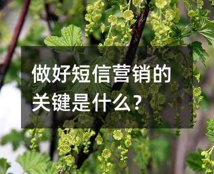 做好短信營銷的關鍵是什么?