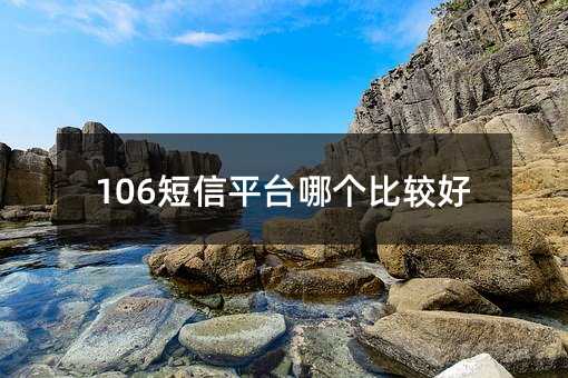 106ƽ_(ti)Ă(g)^