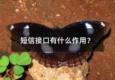 Žӿʲô