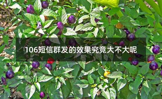 106Ⱥl(f)Ч󲻴