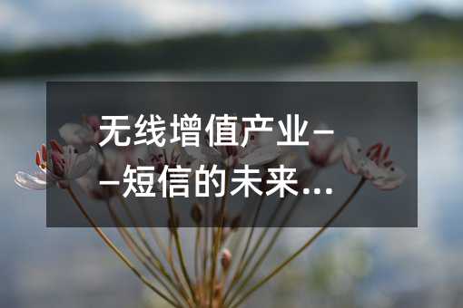 無線增值產(chǎn)業(yè)——短信的未來暢想