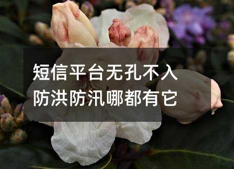 短信平臺(tái)無(wú)孔不入 防洪防汛哪都有它
