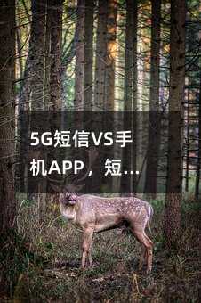 5GVS֙C(j)APP(j)_ʼu