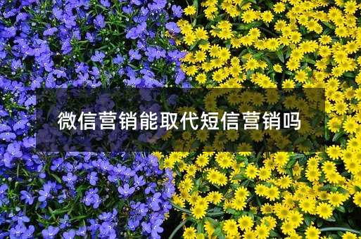 微信營銷能取代短信營銷嗎