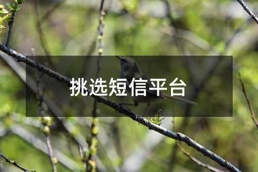 xƽ_(ti)
