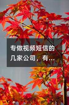 ҕlŵĎ׼ҹ˾Щ