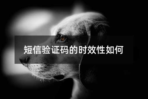 (yn)Caĕr(sh)Ч