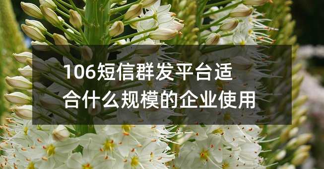 106Ⱥl(f)ƽ_(ti)mʲôҎ(gu)ģI(y)ʹ