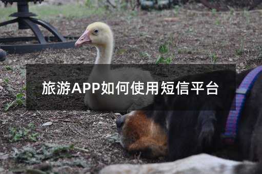 APPʹöƽ_(ti)