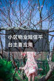 С^(q)I(y)ƽ_(ti)Ҫ(yng)
