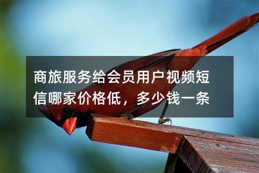 商旅服務(wù)給會(huì)員用戶(hù)視頻短信哪家價(jià)格低,多少錢(qián)一條