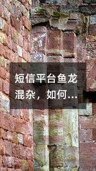 ƽ_(ti)~(y)sx(yu)|(zh)Ķƽ_(ti)