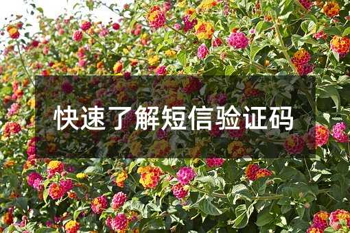 ˽Ca