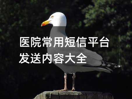 t(y)Ժöƽ_l(f)̓ݴȫ