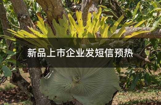 新品上市企業(yè)發(fā)短信預(yù)熱