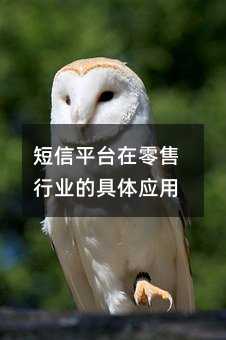 ƽ_ИI(y)ľw
