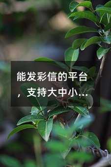 ܰl(f)ŵƽ_ִ֧СҎ(gu)ģİl(f)
