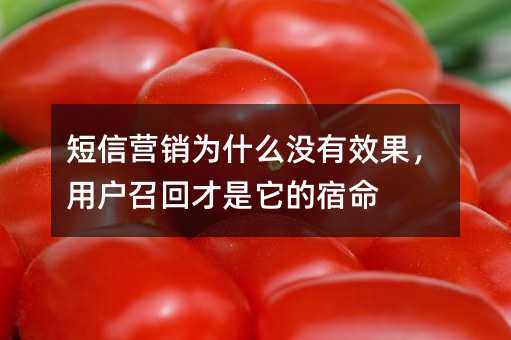 短信營(yíng)銷(xiāo)為什么沒(méi)有效果,用戶(hù)召回才是它的宿命