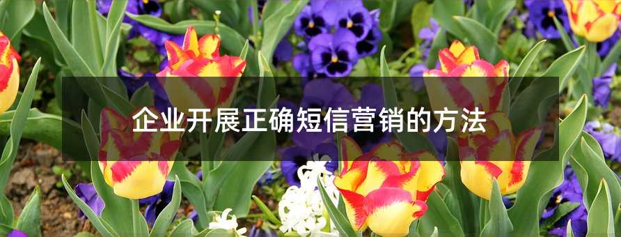 I(y)_չ_ŠI(yng)Nķ