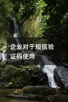 企業(yè)對于短信驗(yàn)證碼使用