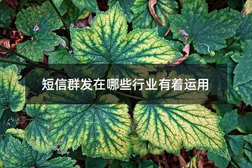 Ⱥl(f)ЩИI(y)\(yn)