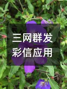 W(wng)Ⱥl(f)ő(yng)
