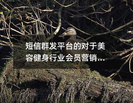 Ⱥl(f)ƽ_(ti)Č(du)ݽИI(y)(hu)TIN(yu)(sh)