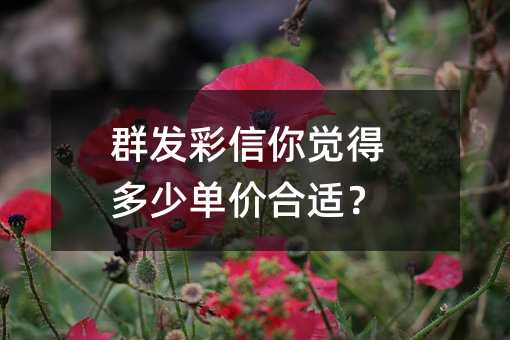群發(fā)彩信你覺得多少單價合適?