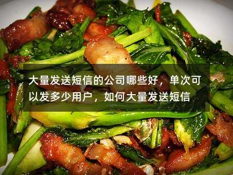 大量發(fā)送短信的公司哪些好,單次可以發(fā)多少用戶,如何大量發(fā)送短信