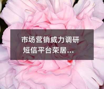 市場(chǎng)營銷威力調(diào)研 短信平臺(tái)榮居榜首