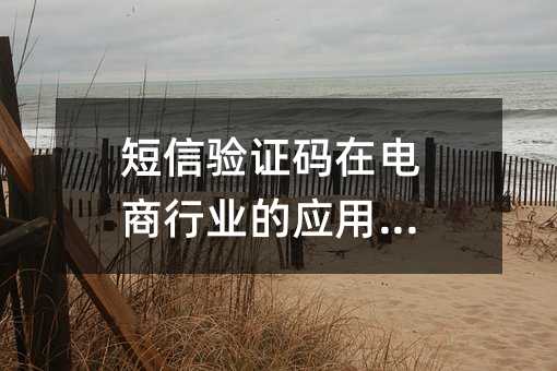 短信驗(yàn)證碼在電商行業(yè)的應(yīng)用價(jià)值