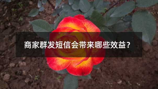 ̼Ⱥl(f)ŕЩЧ棿