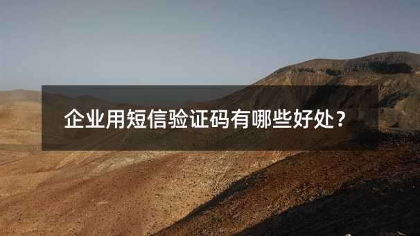 企業(yè)用短信驗(yàn)證碼有哪些好處?