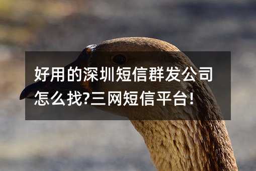 õڶȺl(f)˾ô?W(wng)ƽ_(ti)!