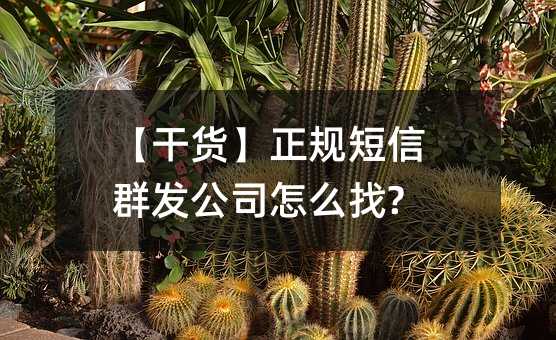 ؛Ҏ(gu)Ⱥl(f)˾ô?