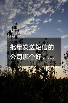批量發(fā)送短信的公司哪個(gè)好,單次規(guī)定發(fā)多少用戶,怎樣批量發(fā)送短信