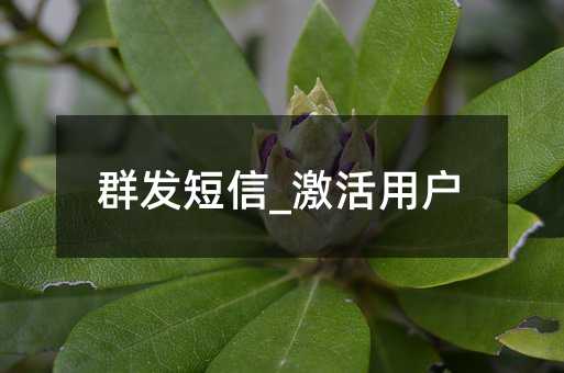 群發(fā)短信_激活用戶