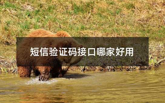 短信驗證碼接口哪家好用