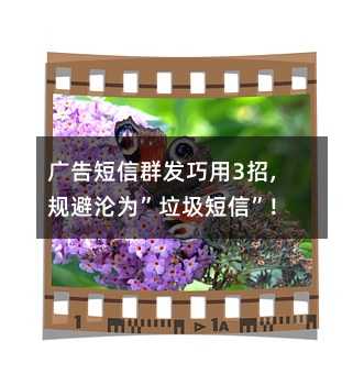 VȺl(f)3,Ҏ(gu)ܜS顱š!