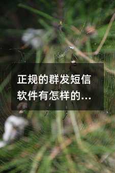 Ҏ(gu)Ⱥl(f)ܛӵY|(zh)
