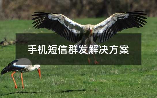 手機(jī)短信群發(fā)解決方案