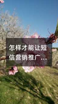 Ӳ׌ŠINƏVЧ؛